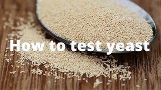 Is Your Yeast STILL ALIVE This BAKING HACK will save you  How to test yeast [upl. by Siduhey]