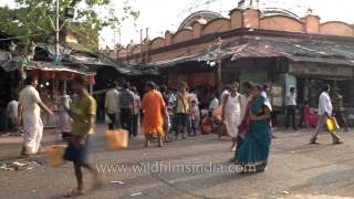 Kalighat temple Kolkata [upl. by Eiroc]