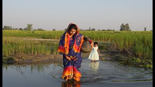 কলসি কাঁখে নদীর পাড়ে এলাম কেন  Village life with Shampa [upl. by Esinet]