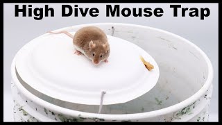 The High Dive Paper Plate DIY Mouse Trap Mousetrap Monday [upl. by Marven]