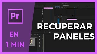 CUANDO TODO VA MAL Cómo Recuperar Paneles [upl. by Enniroc]