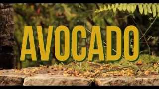 Jah9  Avocado Official Video [upl. by Haduhey]