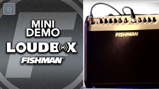 Fishman Loudbox Mini Product Demo [upl. by Esinyl]