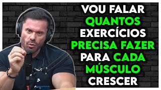 QUANTOS EXERCÃCIOS PRECISA FAZER PARA O MÃšSCULO CRESCER GANHAR MASSA MUSCULAR  Renato Cariani [upl. by Akineg]