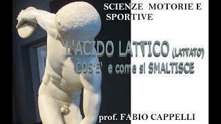 L ACIDO LATTICO o Lattato [upl. by Koser]