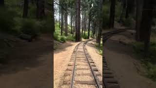 Yosemite mountain Sugar pine RailroadScenic Train through Sierra National Forest [upl. by Nennek157]