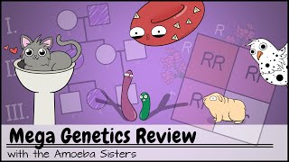 Mega Genetics Review [upl. by Anairam53]