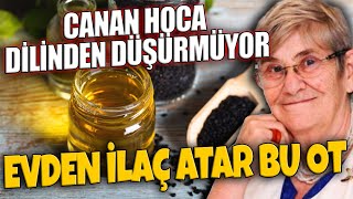 CANAN HOCA DİLİNDEN DÜŞÜRMÜYOR  EVDEN İLAÇ ATAR BU OT [upl. by Attener]