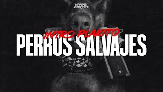 🐶 Perros Salvajes  Intro Plakito Remix  Daddy Yankee ✘ Yandel ✘ DJ Mannu Cortez [upl. by Spragens]