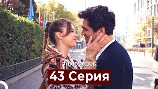 Зимородок 43 Cерия Русский дубляж [upl. by Leva]