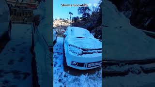 Shimla mein snowfall start ho gaya ❄ snowfall shimla shortsvideo [upl. by Fast]