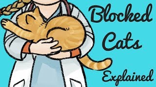 Urethral Blockages in male cats [upl. by Gavriella509]