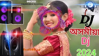 ASSAMESE DJ SONGS 🔥🔥🔥 2024 PARAMA BHAI 4K EDITING 🥀🌹 ASSAMESE DJ REMIX VIDEO 2024 💕 [upl. by Navar]