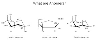 What are Anomers [upl. by Olnee]