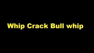 Whip Crack Bull whip  sound effect [upl. by Gemperle]