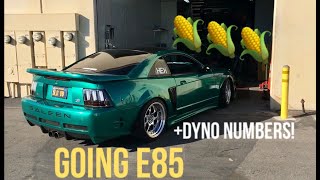 How to Convert Your 9904 Mustang to E85 [upl. by Herbert]