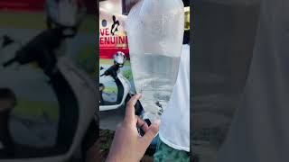 Feeding my Redtail Catfish fish aquariumfish redtailcatfish babyredtailcatfish redtailfishvlog [upl. by Aikaz]