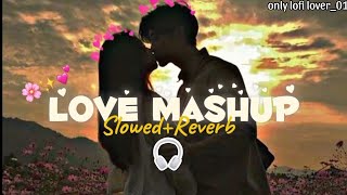 LOVE MASHUP SLOWED  REVERB LOFI SONG IN HINDI ll NEW LOFI SONG 2024 ll VIRL INSTAGRAM SONG [upl. by Murielle640]