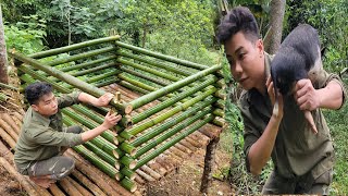 Making a pig pen from natural bamboo and buying piglets to raise  Ly Oanh Daily life [upl. by Aisanahta508]