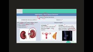 Hormones of Pituitary Gland [upl. by Naols]