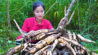 Ella Harvesting Cassava Tubers Goes to the market sell [upl. by Sprague]