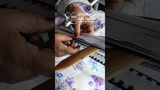 Sheikh Zayed Festival Teaser [upl. by Aelc]