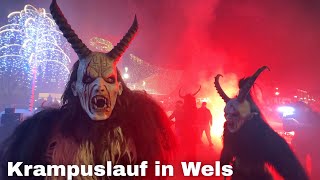 Krampuslauf in Wels 2023 🇦🇹 Wels Austria [upl. by Brader]