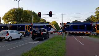 Spoorwegovergang Veenendaal  Dutch railroad crossing [upl. by Andriana504]