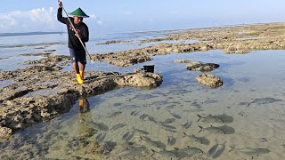 Hari ke 18 di Pulau Terpencil KUBANGAN AIR DI PENUHI GEROMBOLAN IKAN 😱 [upl. by Akeinahs237]