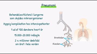 Respirationssystemet Pneumoni [upl. by Mazman581]