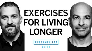 Best Exercises for Overall Health amp Longevity  Dr Peter Attia amp Dr Andrew Huberman [upl. by Oeniri]