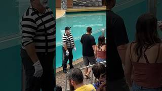 Awe 🫢 Nevermind not cute 😂👏 Tom mime Seaworld funny seaworldmime tomthemime [upl. by Asiaj]