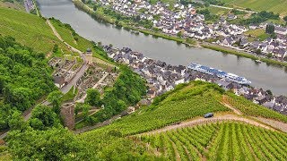 German Riesling Wine Journey [upl. by Hagi]