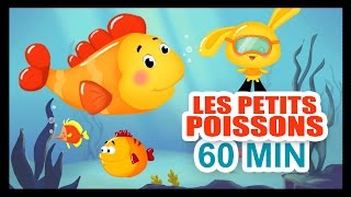 Les petits poissons dans leau  1H DE COMPTINES POUR LES PETITS  Titounis [upl. by Forrest]