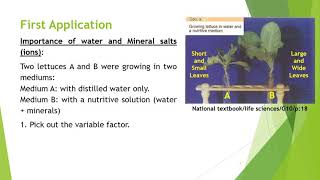 01 Biology G10  Autotrophy and Photosynthesis  W01 [upl. by Muraida15]