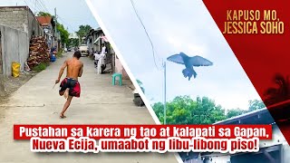 Pustahan sa karera ng tao at kalapati umaabot ng libolibong piso  Kapuso Mo Jessica Soho [upl. by Rdnaskela158]