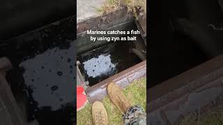 marines catches a fish by using zyn as bait marinecorps semperfi usmilitary usa [upl. by Emirac]