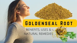 Secrets of Goldenseal Root Powder for Health and Healing [upl. by Ailelc]