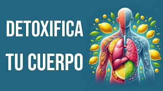 Sistemas Emuntoriales  LOS 5️⃣ÓRGANOS DE DETOX CORPORAL  Dr Domingo Pérez León [upl. by Tollman]