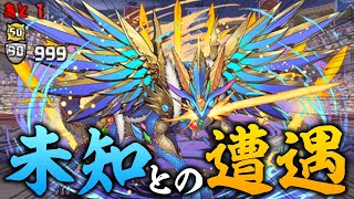 チィリンドラゴンとの初見対決にビビりまくる男【パズドラ】 [upl. by Aikat]