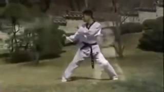 All Taekwondo Kicks [upl. by Deadman]