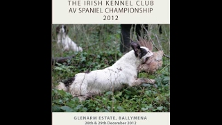 2012 Irish AV Spaniel Championship held at Glenarm Estate [upl. by Eylsel]