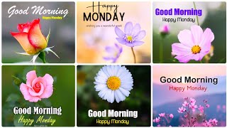 Uplifting Good Morning Monday Wishes Good Morning Beautiful Images Start Your Week with Positivity [upl. by Hpejsoj]