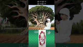 Saleem Monsrri Vlog Follow hi Farands islamicvideo 2024 [upl. by Naved]