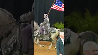 Arabian Horse Carries American Flag [upl. by Allegra]