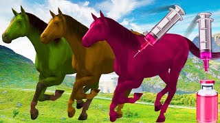 Color de inyección de caballos para niños  Canción de color del caballo  Canción de animación 3d [upl. by Fari971]