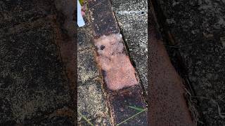 Oxalic acid cleaning agent can quickly remove old dirt from floor tiles viralvideo youtubeshorts [upl. by Garrik805]