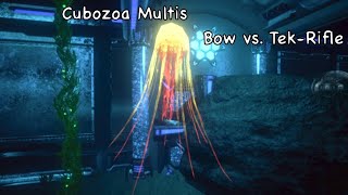 Cubozoa Multis Bow vs TekRifle  Boss  Dungeon  Ark Mobile [upl. by Lunsford984]