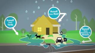 Stormwater Runoff Animation [upl. by Annahaj]