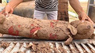 Mud Cleaning Surprise for Teddy Bear  Satisfying ASMR [upl. by Luahs]